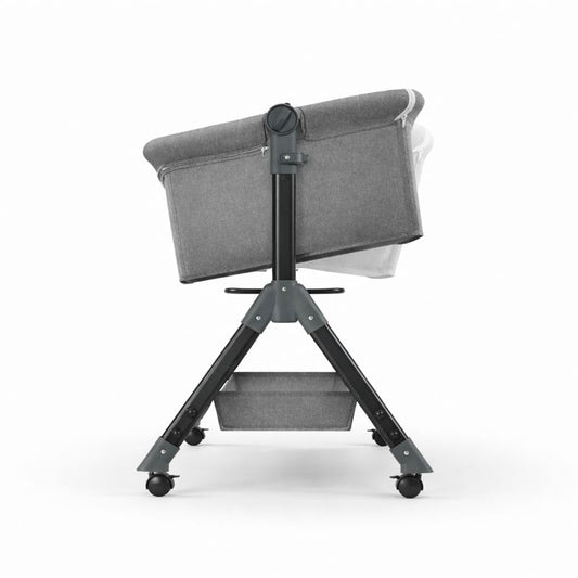 Libellule Lit Cododo