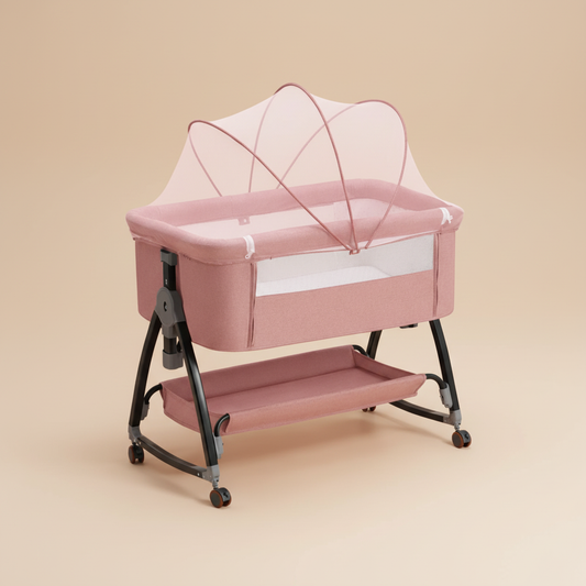 Studio cododo 1 an 2